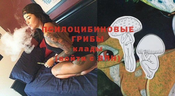 дурь Алексин
