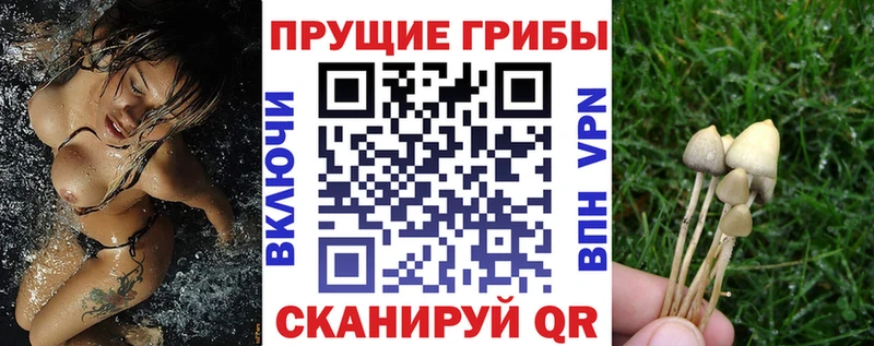 ОМГ ОМГ вход  сколько стоит  Калязин  Псилоцибиновые грибы ЛСД 